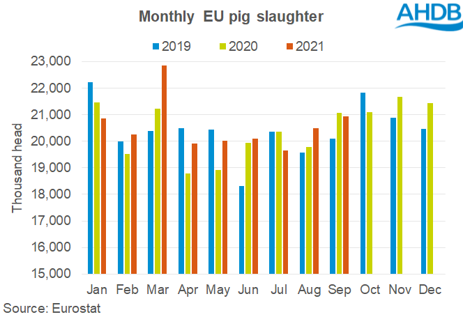 EU pig meat production was stable in September 2021