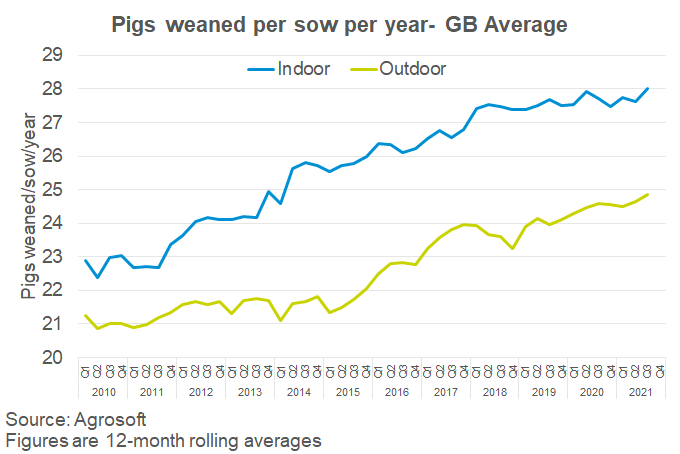 GB average pigs weaned per sow per year over time
