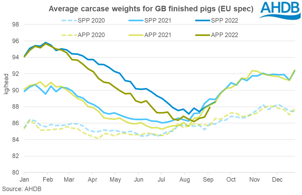 graph tracking weights of GB finished pigs up to 10 September 22