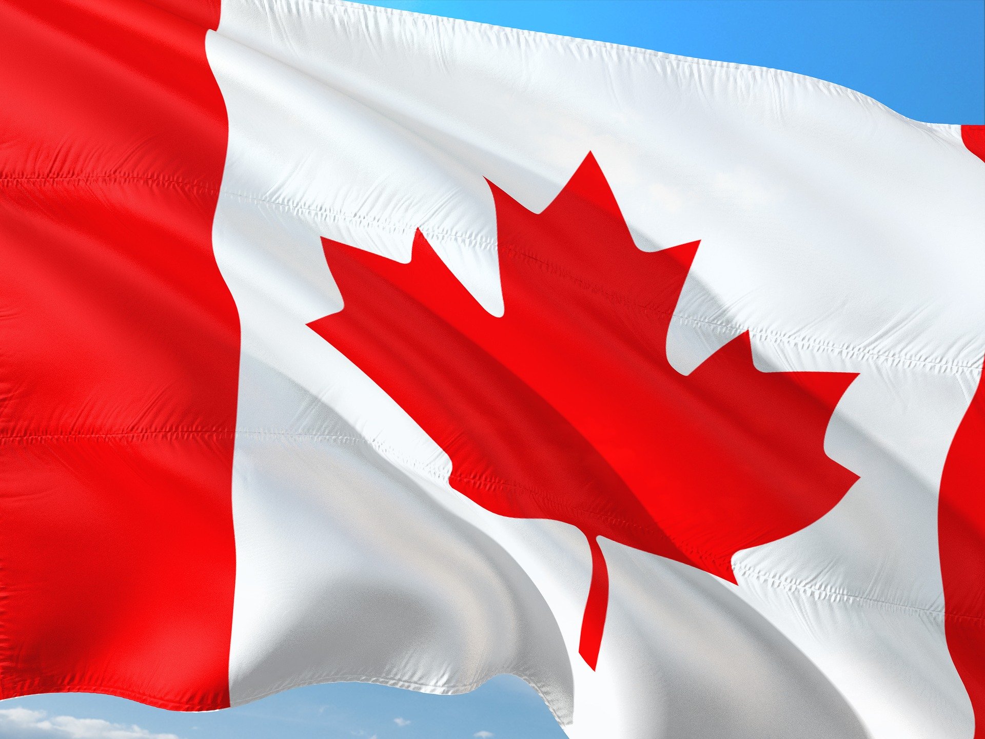 Continued stability in Canadian pig herd - Vimarsana News
