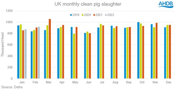 chart showing number of clean pig slaughtered up to feb22