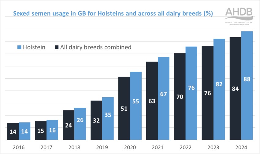 Graph of sexed semen usage in GB in Holstein breed and across dairy breeds.