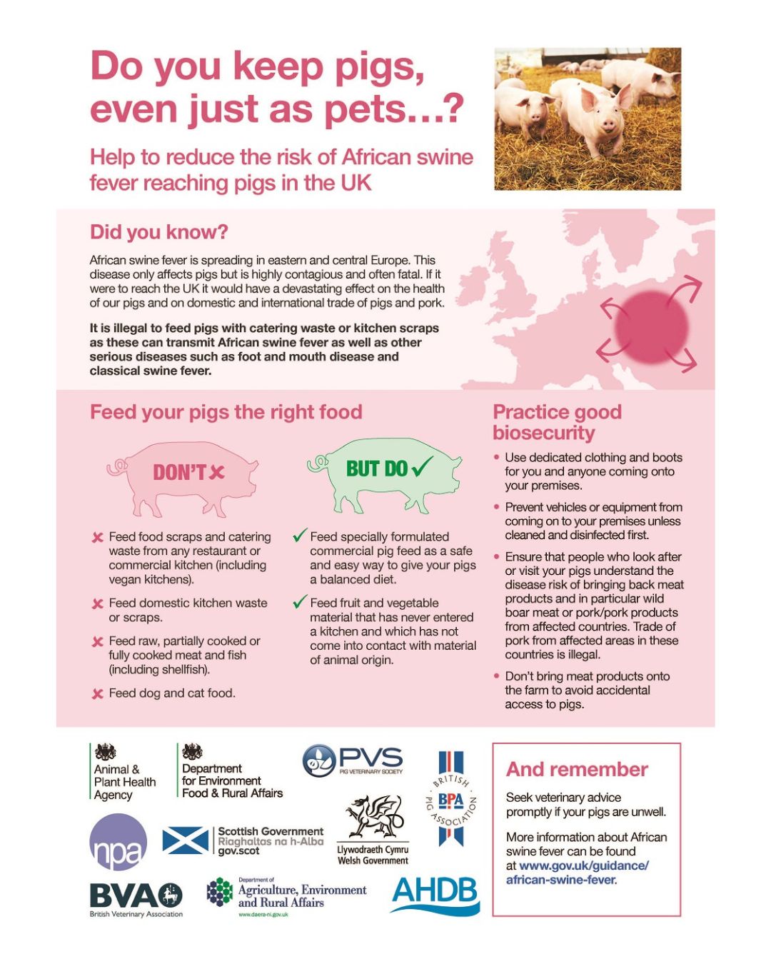African swine fever resources and posters | AHDB