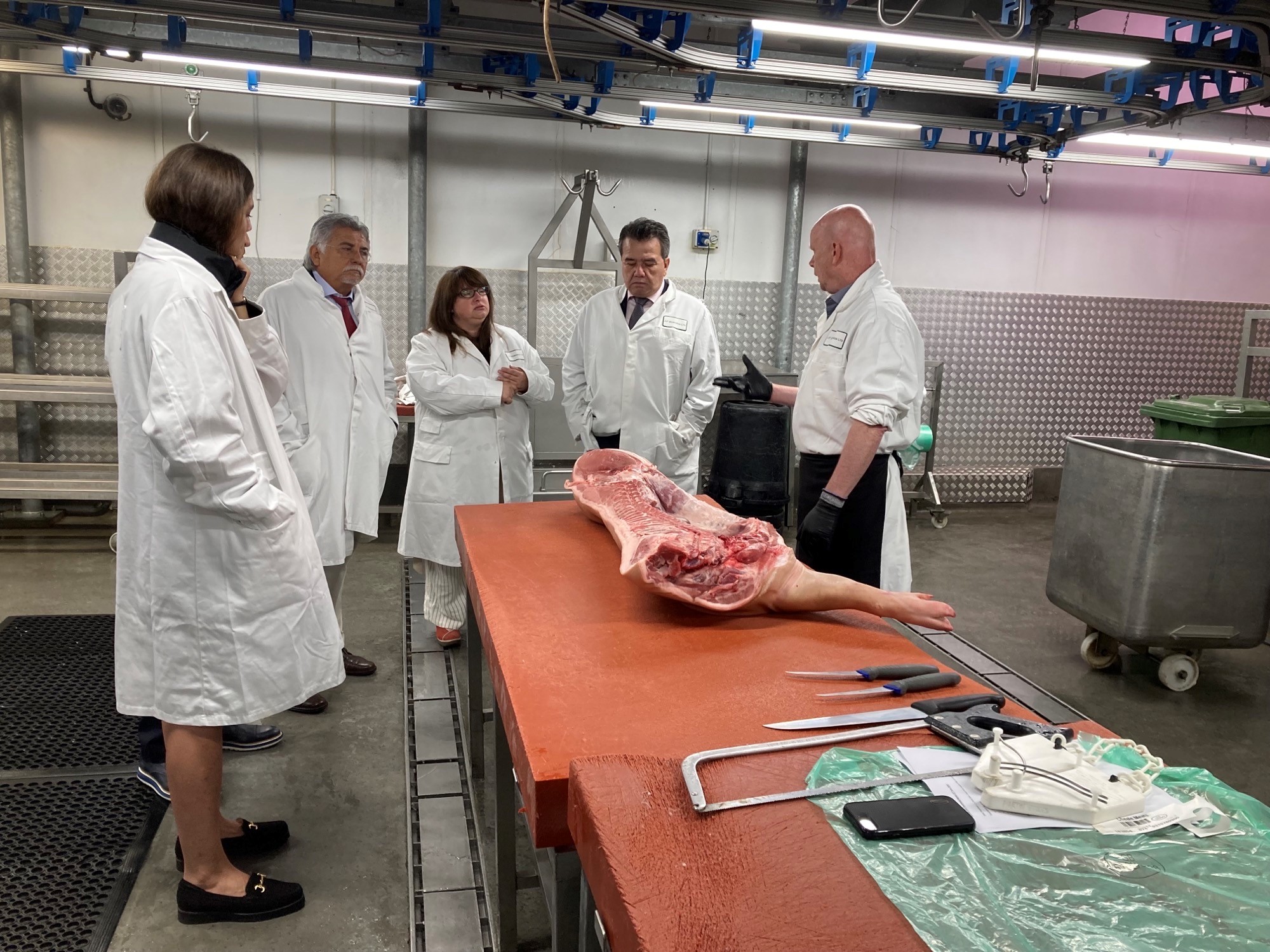 A group of people watching a demonstration on a pork carcase
