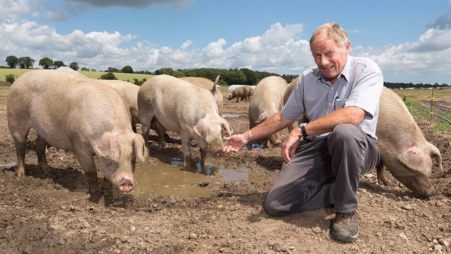 a man kneeling in front of a group of cows drinking water