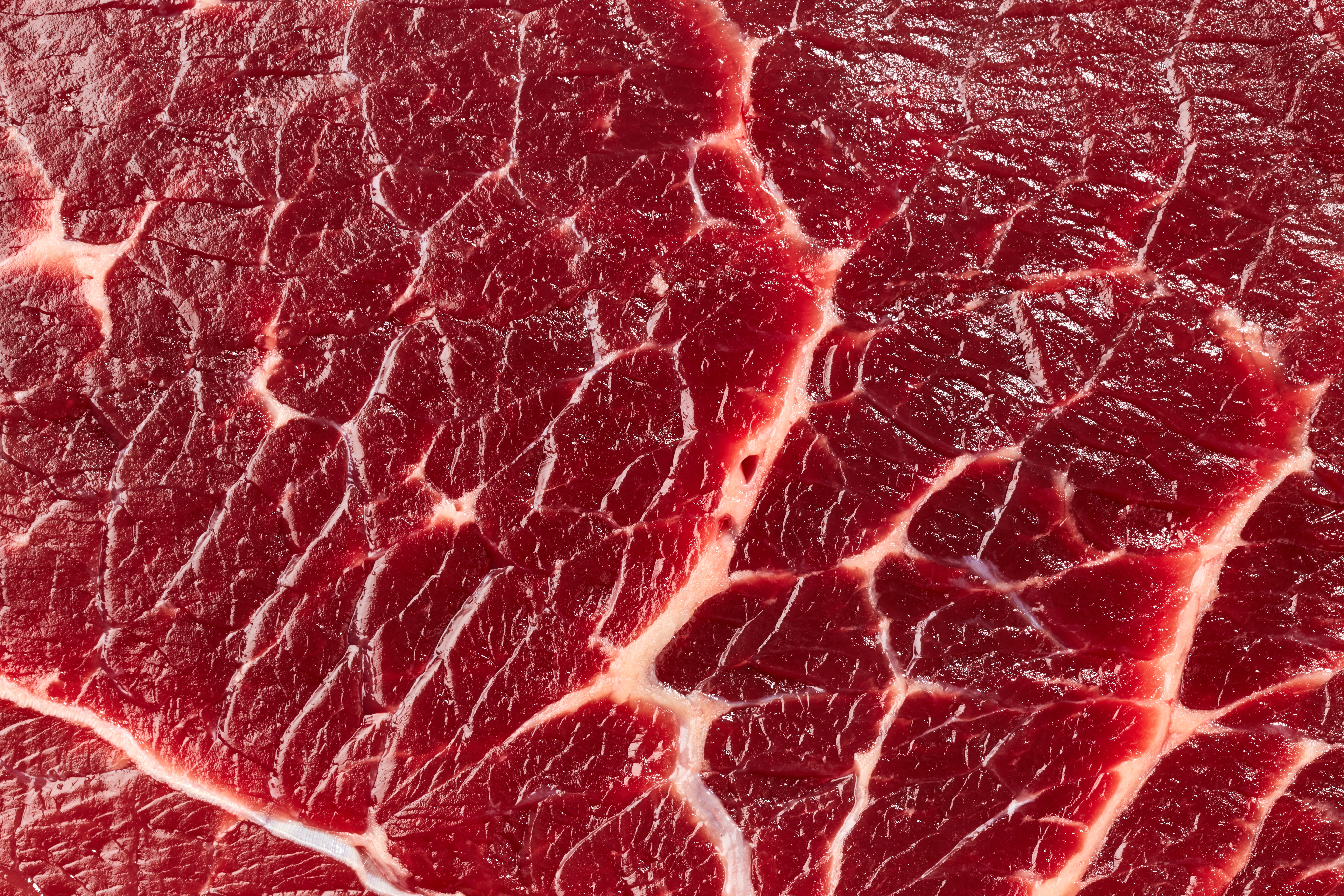 HRGJRGHSJERFER's banner