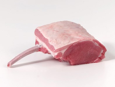 “Premium” single bone mini-rack | AHDB