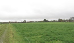 Rotational grazing systems for cattle | AHDB