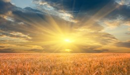 Protecting and promoting farming