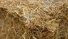 Make straw go further this winter