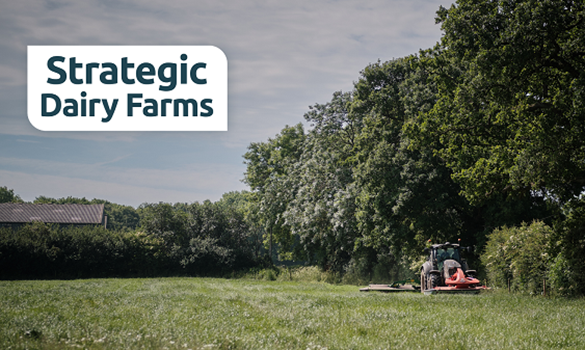 A tractor in a field and text that reads 'Strategic Dairy Farms'.