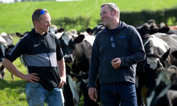 a man and a woman standing in front of a herd of cows