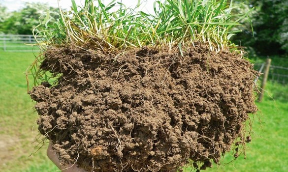 Hand holding up an extracted block of well-structured topsoil from grassland, with roots visible.