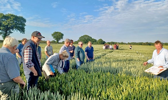 Group discussion crop varieties