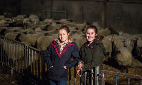 a couple of women smiling in front of a herd of sheep
