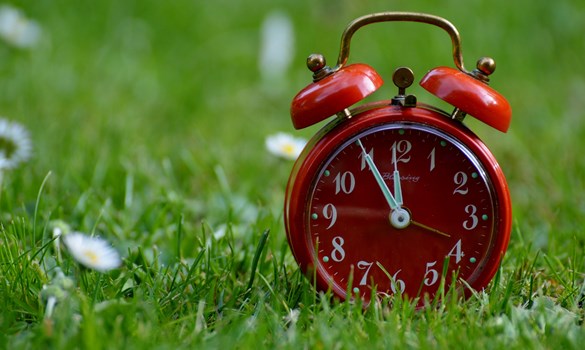 a red alarm clock on grass