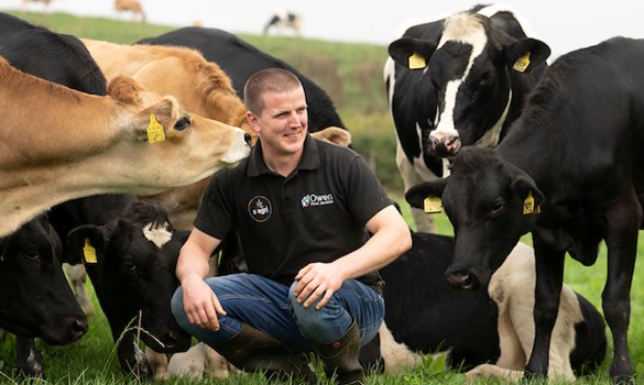 Gareth Owen crouching in a field with both Jersey and Holstein cows