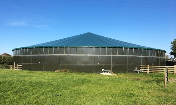 a building with a grassy field in front of it