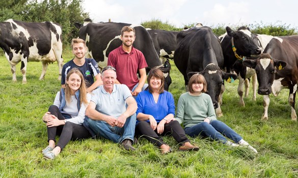 a group of people sitting in front of cows