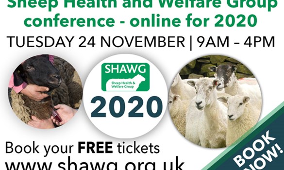 Sheep Health and Welfare Group. conference - online for 2020.