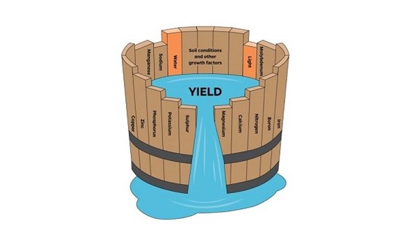 Barrel analogy using nitrogen as the least available nutrient