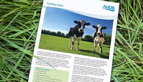 Fertility index