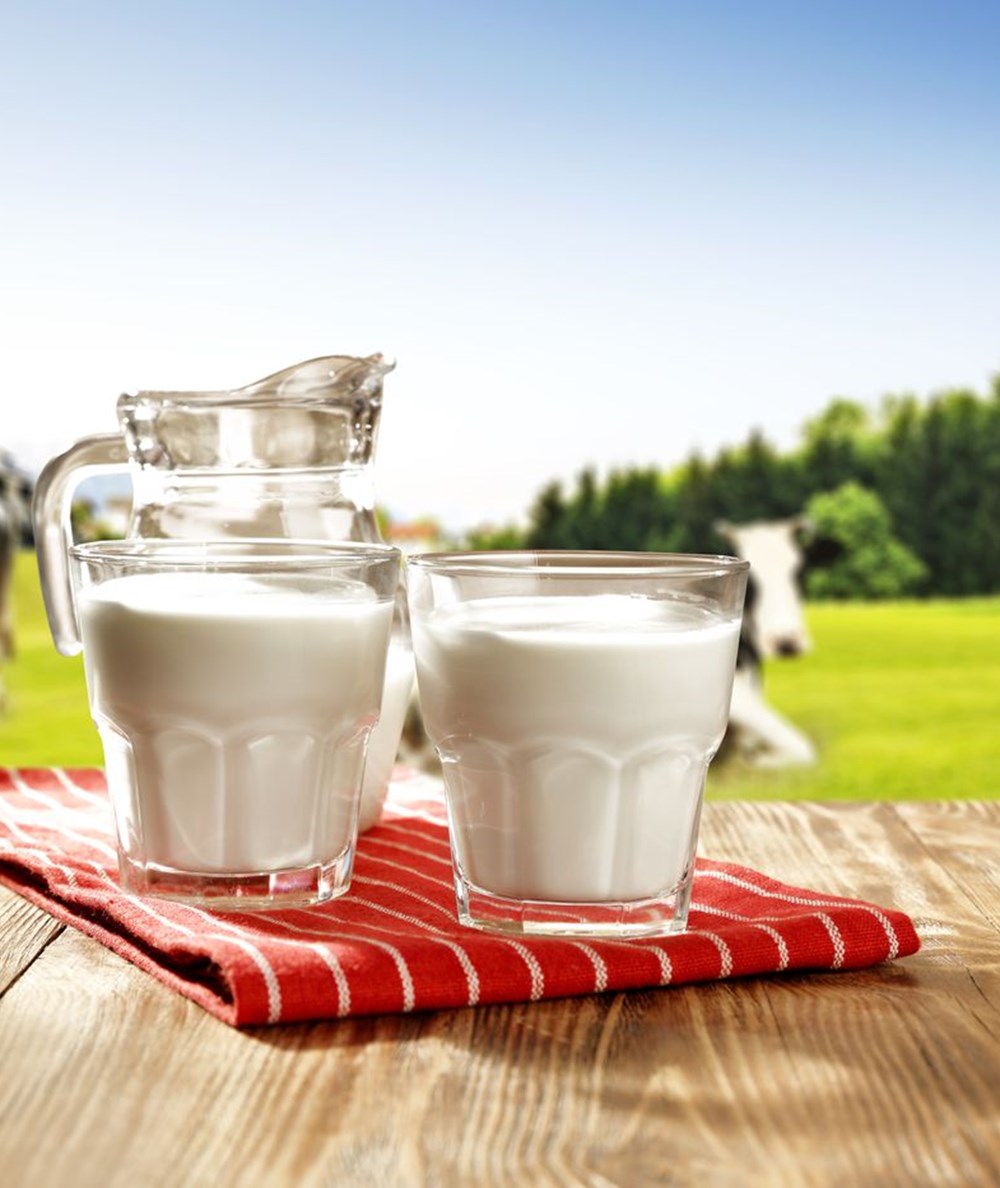 a couple of glasses of milk on a table with a cow in the background