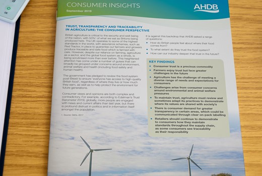 Retail and consumer insight | AHDB