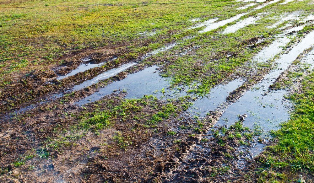 Water-filled tyre ruts in muddy ground with grass around them.