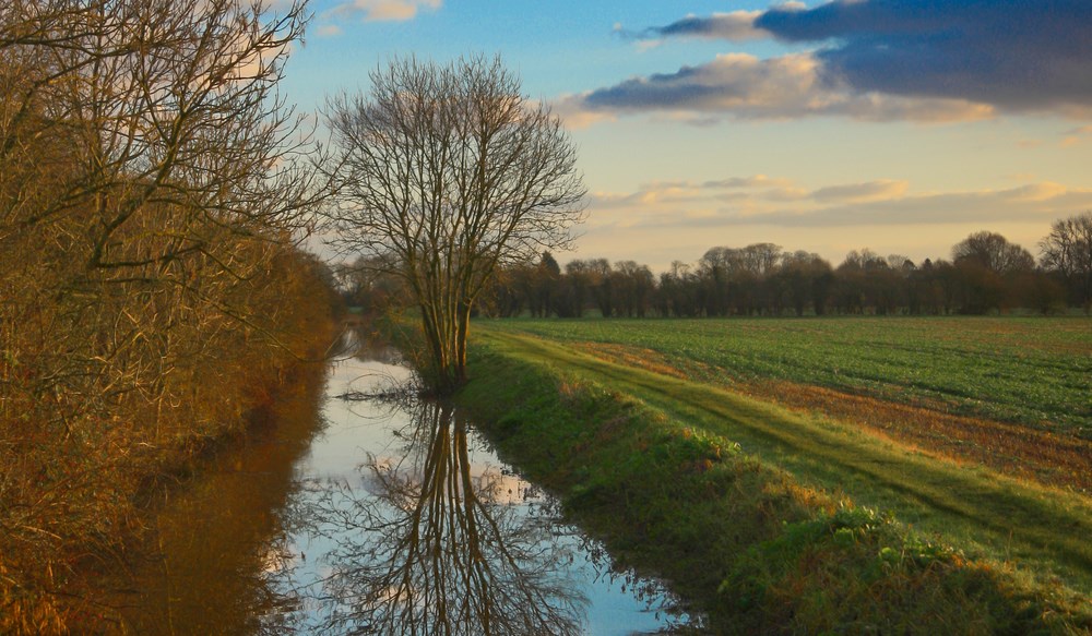 The sun setting over a field with a water-filled ditch at the edge.