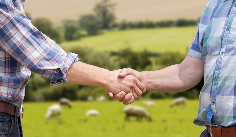 a couple of people holding hands