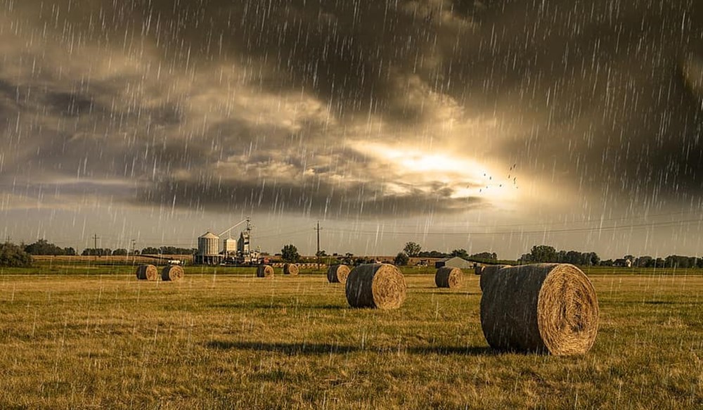 A field of hay bales with storm clouds overhead.