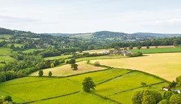 Sustainable Farming Incentive