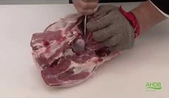 Lamb Cutting Videos
