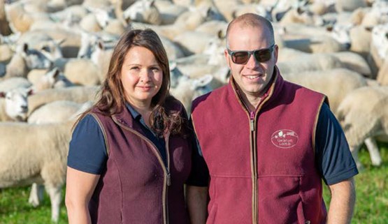 Watch the Beef and Lamb Town Hall meeting