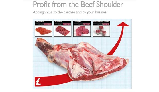 Profit from the beef shoulder