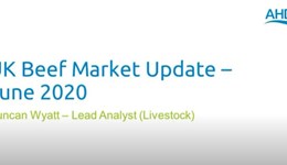 UK beef market update: June 2020