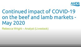 Beef and lamb market update: May 2020 - the continued impact of COVID-19