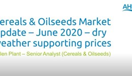 Cereals & oilseeds market update: June 2020 