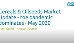 Cereals and oilseeds market update: May 2020 - the pandemic dominates