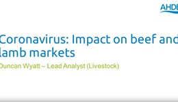 Coronavirus: Impact of beef and lamb markets