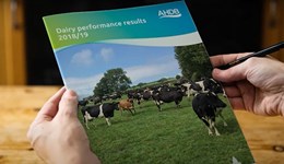 Dairy market update: December 2021