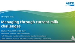 Dairy webinar: Managing through current milk challenges