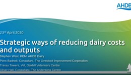 Dairy webinar: Strategic ways of reducing costs and outputs