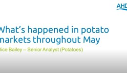 Potato market update: June 2020