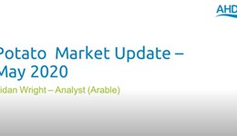 Potato market update: May 2020