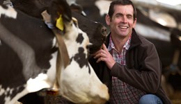 Mastitis focus for next strategic dairy farm meeting