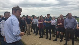 Improving fertility in block calving herds