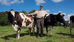Sussex - Safer cattle handling with Owen Atkinson