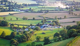 Key findings: Economic output and value added at the farm level and beyond